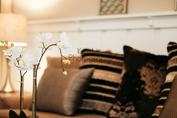 pasadena-california-real-estate-photographer-detail-kasi-liz-hyrapett