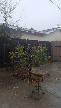 professional-real-estate-photography-pasadena ca-rain-blog-kasi-hyrapett-2