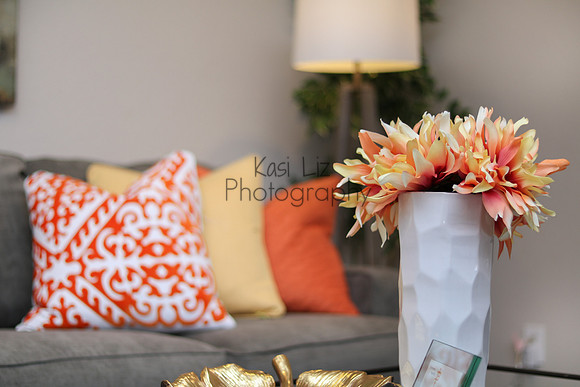 los-angeles-california-real-estate-interior-design-photographer-kasi-liz-hyrapett