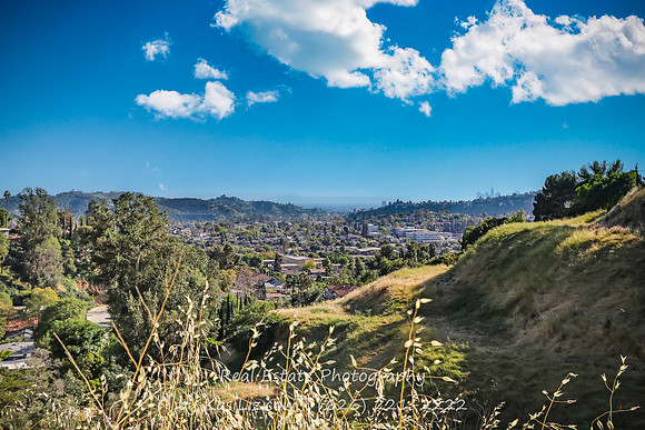 real-estate-photography-long-seal-huntington-newport-beach-los-angeles-pasadena-glendale-burbank-Burwood Ave-90042-photographer-16