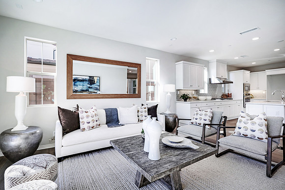 Real Estate Photography | 122 Hemisphere-Irvine-92618 | Kasi Liz The Real Estate Photographer