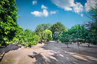 Real Estate Photography | 535 S Lotus Ave-Pasadena-91107 | Kasi LIz The Real Estate Photographer