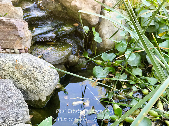 Real Estate Photography | 2331 Country Club Vista St-Glendora | Kasi Liz The Real Estate Photographer