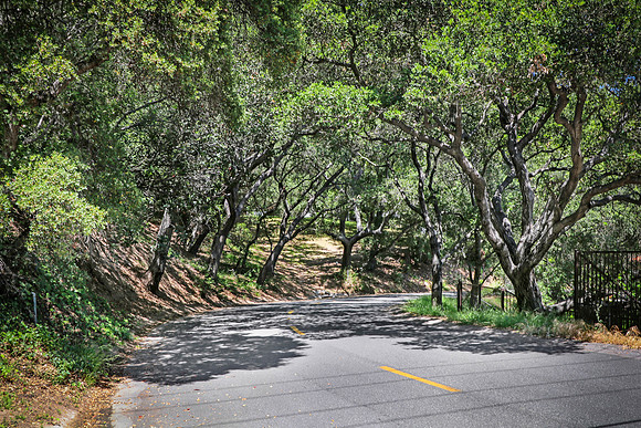 Real Estate Photographer | 4069 Hampstead Rd-La Canada Flintridge-91011 | Kasi Liz Real Estate Photography