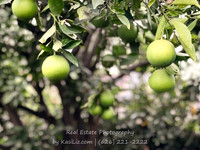 Real Estate Photographer | 10146 Live Oak Ave-Temple City | Kasi Liz The Real Estate Photographer