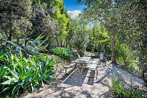 Real Estate Photography | 2018 Griffith Park Blvd-Silverlake LA | Kasi Liz The Real Estate Photographer
