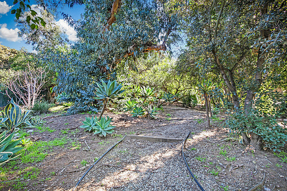 Real Estate Photography | 2018 Griffith Park Blvd-Silverlake LA | Kasi Liz The Real Estate Photographer